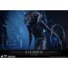 Hot Toys Alien Warrior (Aliens) MMS354 in doos