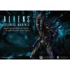 Xenomorph Soldier Aliens Colonial Marines in doos Hiya Toys