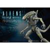 Xenomorph Boiler Aliens Colonial Marines MIB Hiya Toys