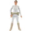 Star Wars Padmé Amidala (senator from Naboo) the Legacy Collection compleet