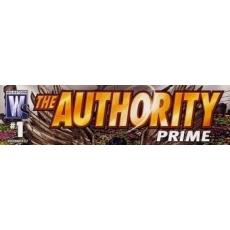 the Authority Prime (Wildstorm Comics)