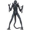 Aliens warrior (blue) ultimate edition in doos Neca