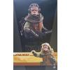 Hot Toys Kuiil (the Mandalorian) TMS048 in doos