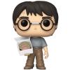 Harry Potter with cake Pop Vinyl Harry Potter (Funko) exclusive
