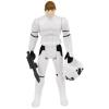 Star Wars Luke Skywalker (Imperial Stormtrooper outfit) 12" MOC Gentle Giant