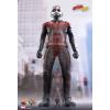 Hot Toys Ant-Man (Ant-Man and the Wasp) MMS497 in doos