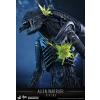 Hot Toys Alien Warrior (Aliens) MMS354 in doos