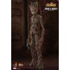 Hot Toys Groot & Rocket Avengers Infinity War MMS476 in doos