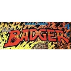 the Badger (Capital Comics)