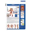 the Toys of He-Man and the Masters of the Universe (Dark Horse) hard cover
