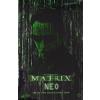 Hot Toys Neo (the Matrix) MMS466 in doos