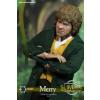 Merry Lord of the Rings Asmus Collectibles in doos