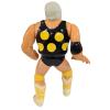 Dusty Rhodes WWF (Hasbro) compleet