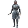 Arya Stark (King's Landing) Game of Thrones MOC McFarlane Toys Walgreens exclusive