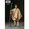Sideshow Star Wars Luke Skywalker Moisture Farmer Tatooine (Heroes of the Rebellion) 1:6 MIB Sideshow exclusive