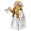 Lego 79015 Witch-King Battle Lord of the Rings (the Hobbit) in doos