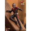 Hot Toys Ant-Man (Ant-Man and the Wasp) MMS497 in doos