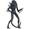 Aliens warrior (blue) ultimate edition in doos Neca
