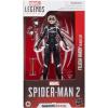 Felicia Hardy Black Cat (Spider-Man 2 Gamerverse) Marvel Legends Series in doos