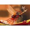 Hot Toys Ant-Man on Flying Ant & the Wasp (miniature collectible) MMSC004 in doos