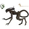 Dog Alien (Alien 3) ultimate edition in doos Neca