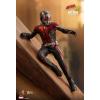 Hot Toys Ant-Man (Ant-Man and the Wasp) MMS497 in doos