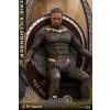 Hot Toys Erik Killmonger (Black Panther) MMS471 in doos