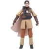 Star Wars Princess Leia Organa (Boushh) the Black Series MOC