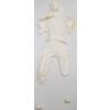 Star Wars Han Solo in Carbonite life size kit