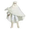 Star Wars Padmé Amidala (senator from Naboo) the Legacy Collection compleet