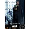 Hot Toys Luke Skywalker & Grogu DX22 in doos