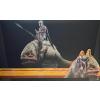 Hot Toys the Mandalorian & Blurrg (the Mandalorian) TMS046 in doos
