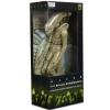 Alien Xenomorph (translucent prototype suit) in doos (56 centimeter) Neca