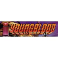 Youngblood volume 2 (Image Comics)