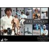 Hot Toys Luke Skywalker Star Wars a New Hope MMS297 in doos