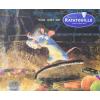 Boek Disney / Pixar the art of Ratatouille (Karen Paik) hard cover