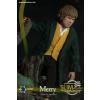 Merry Lord of the Rings Asmus Collectibles in doos