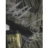 Star Wars Galen Erso (Rogue One) photo signed by Mads Mikkelsen