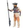 Star Wars Princess Leia Organa (Boushh) the Black Series 6" compleet