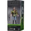 Star Wars Princess Leia Organa (Endor) the Black Series 6" in doos