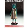 Star Wars Boil and Waxer with Numa Sideshow in doos