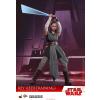 Hot Toys Rey (Jedi training) Star Wars the Last Jedi MMS446 in doos