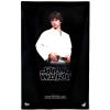 Hot Toys Luke Skywalker Star Wars a New Hope MMS297 in doos