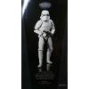 Star Wars Imperial Stormtrooper (Militaries of Star Wars) Sideshow in doos