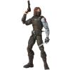 Winter Soldier (flashback) (the Falcon and the Winter Soldier) Legends Series in doos exclusive