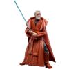 Star Wars Ben (Obi-Wan) Kenobi the Black Series 6" op kaart 50th anniversary exclusive