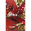 Hot Toys Spider-Man (Iron Spider Armor) VGM038 in doos