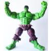 Marvel Select the Incredible Hulk