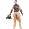 Star Wars Princess Leia Organa (Boushh) the Black Series 6" compleet