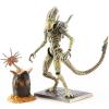 Xenomorph Boiler Aliens Colonial Marines MIB Hiya Toys